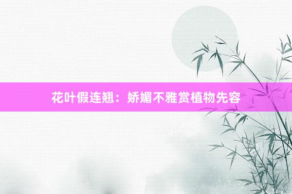 花叶假连翘：娇媚不雅赏植物先容