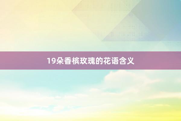 19朵香槟玫瑰的花语含义
