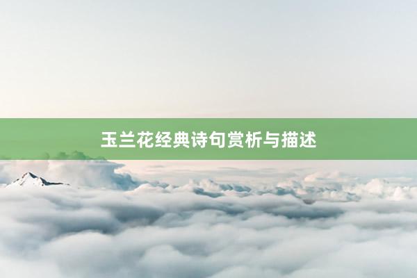 玉兰花经典诗句赏析与描述