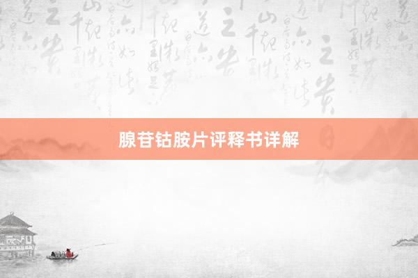 腺苷钴胺片评释书详解
