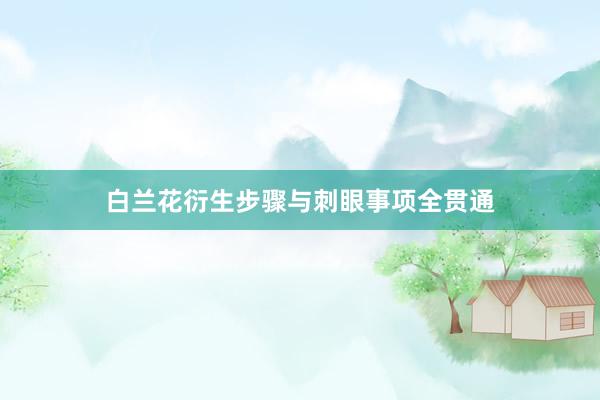 白兰花衍生步骤与刺眼事项全贯通