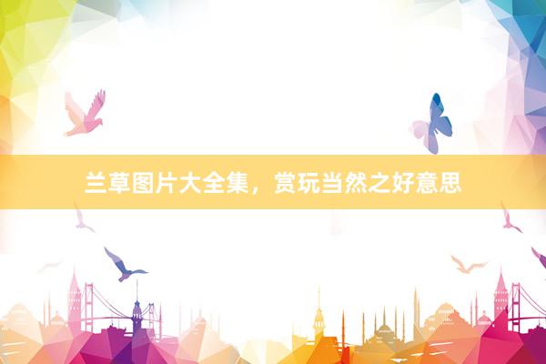 兰草图片大全集，赏玩当然之好意思
