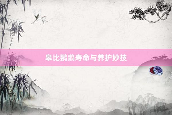 皋比鹦鹉寿命与养护妙技