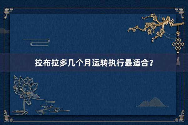 拉布拉多几个月运转执行最适合?